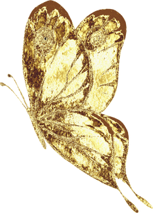 Golden Butterfly Illustration